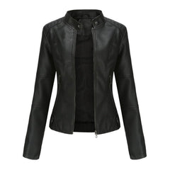 Ione stand-collar moto jacket, detail